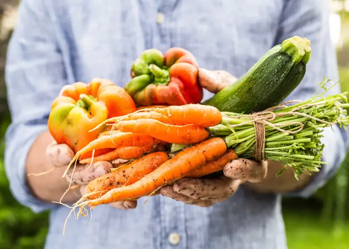distribuzione carne prodotti alimentari freschi e surgelati ingrosso per ristoranti catering